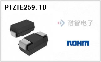 PTZTE259.1B