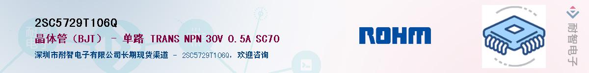 2SC5729T106Q��Ӧ��-���ǵ���