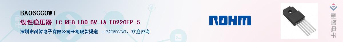 BA06CC0WT��Ӧ��-���ǵ���