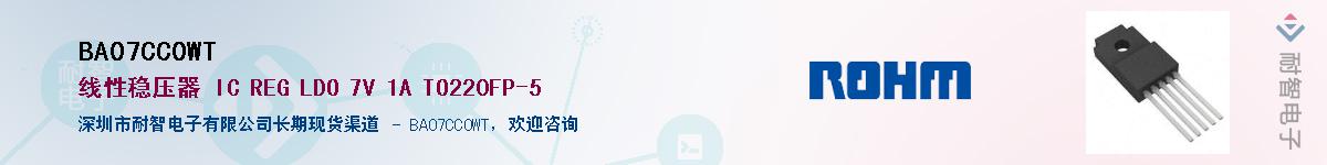 BA07CC0WT��Ӧ��-���ǵ���