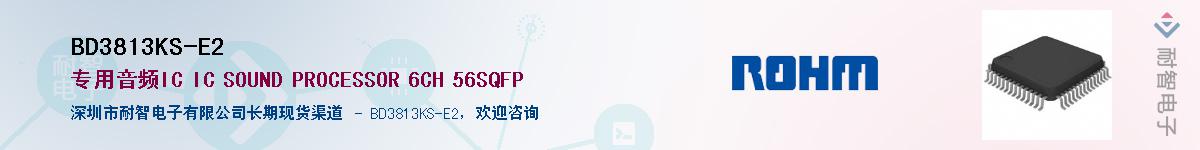 BD3813KS-E2��Ӧ��-���ǵ���