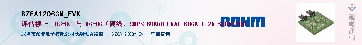 BZ6A1206GM_EVKӦ-ǵ