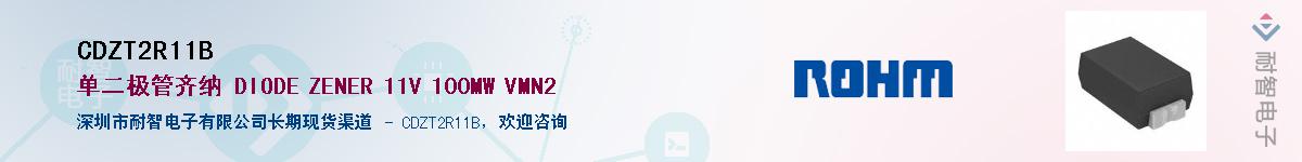 CDZT2R11B��Ӧ��-���ǵ���