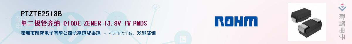 PTZTE2513B��Ӧ��-���ǵ���