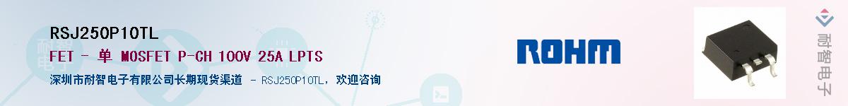 RSJ250P10TL��Ӧ��-���ǵ���