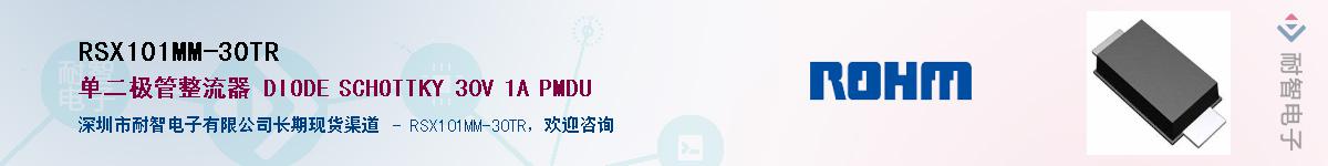 RSX101MM-30TR��Ӧ��-���ǵ���