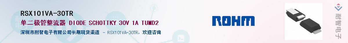 RSX101VA-30TR��Ӧ��-���ǵ���