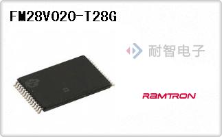 FM28V020-T28G