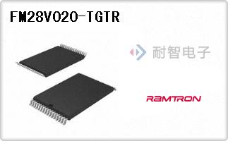 FM28V020-TGTR