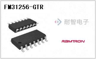 FM31256-GTR