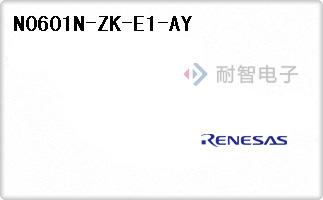 N0601N-ZK-E1-AY