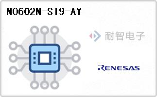 N0602N-S19-AY