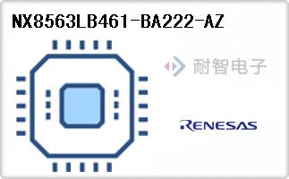NX8563LB461-BA222-AZ