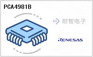 PCA4981B