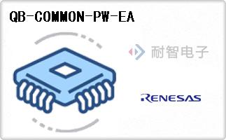 QB-COMMON-PW-EA