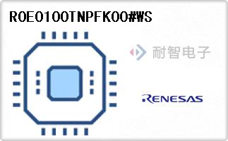 R0E0100TNPFK00#WS
