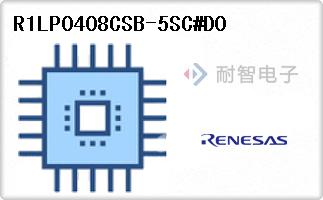 R1LP0408CSB-5SC#D0