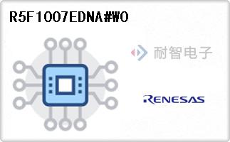 R5F1007EDNA#W0