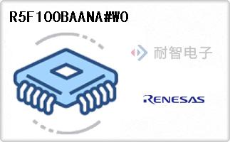 R5F100BAANA#W0