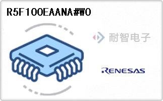 R5F100EAANA#W0