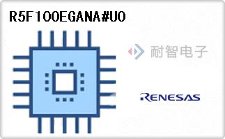 R5F100EGANA#U0