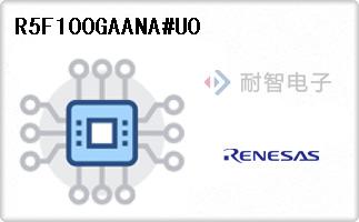 R5F100GAANA#U0