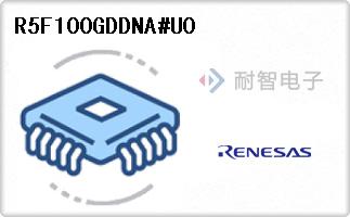 R5F100GDDNA#U0