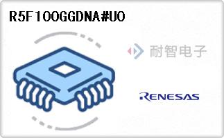 R5F100GGDNA#U0