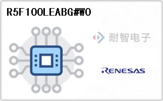 R5F100LEABG#W0