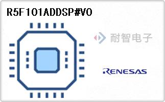 R5F101ADDSP#V0