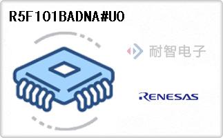R5F101BADNA#U0