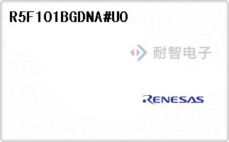 R5F101BGDNA#U0