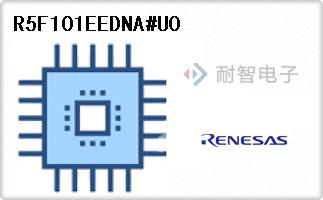 R5F101EEDNA#U0