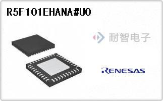 R5F101EHANA#U0