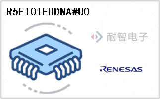 R5F101EHDNA#U0