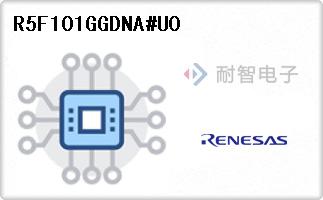 R5F101GGDNA#U0