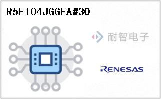 R5F104JGGFA#30