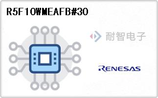 R5F10WMEAFB#30