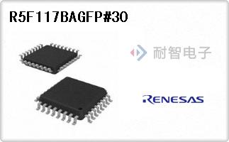 R5F117BAGFP#30
