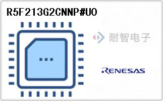 R5F213G2CNNP#U0