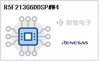 R5F213G6DDSP#W4