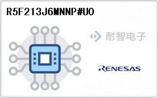 R5F213J6MNNP#U0