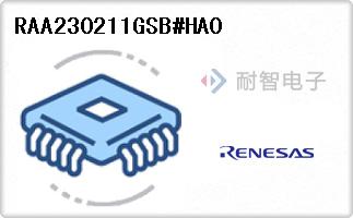 RAA230211GSB#HA0