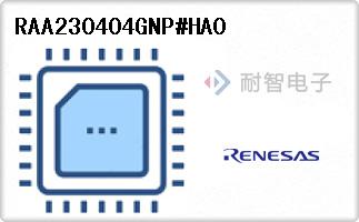 RAA230404GNP#HA0