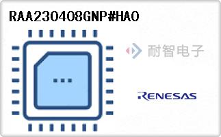 RAA230408GNP#HA0