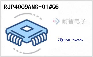 RJP4009ANS-01#Q6