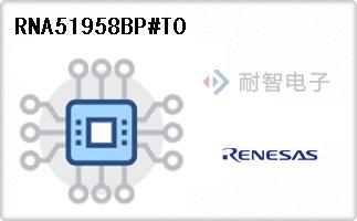 RNA51958BP#T0