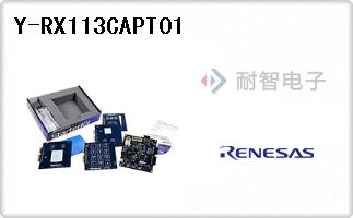 Y-RX113CAPT01