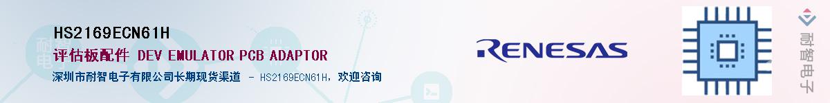 HS2169ECN61HӦ-ǵ