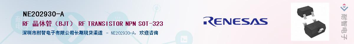NE202930-AӦ-ǵ